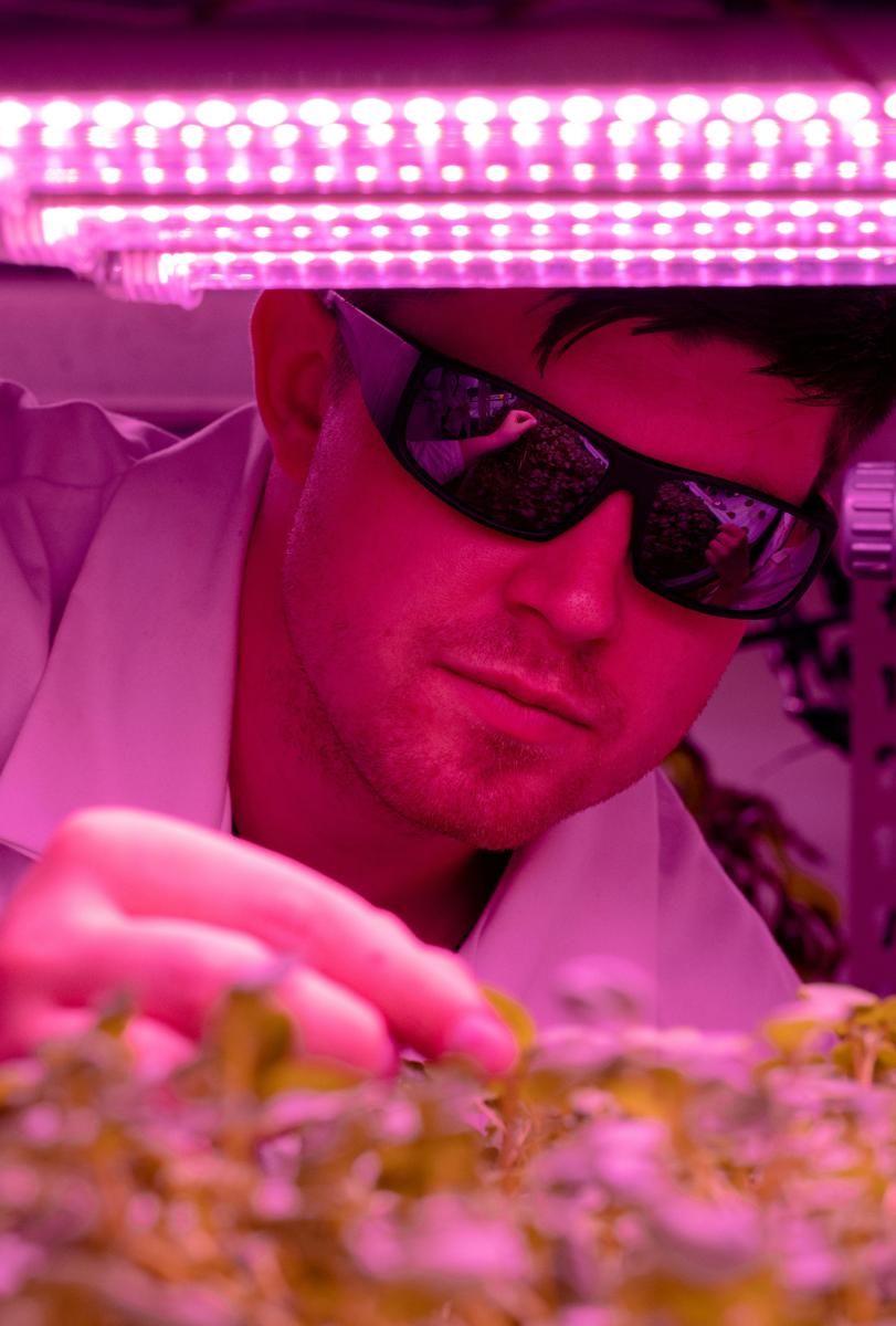smart farming