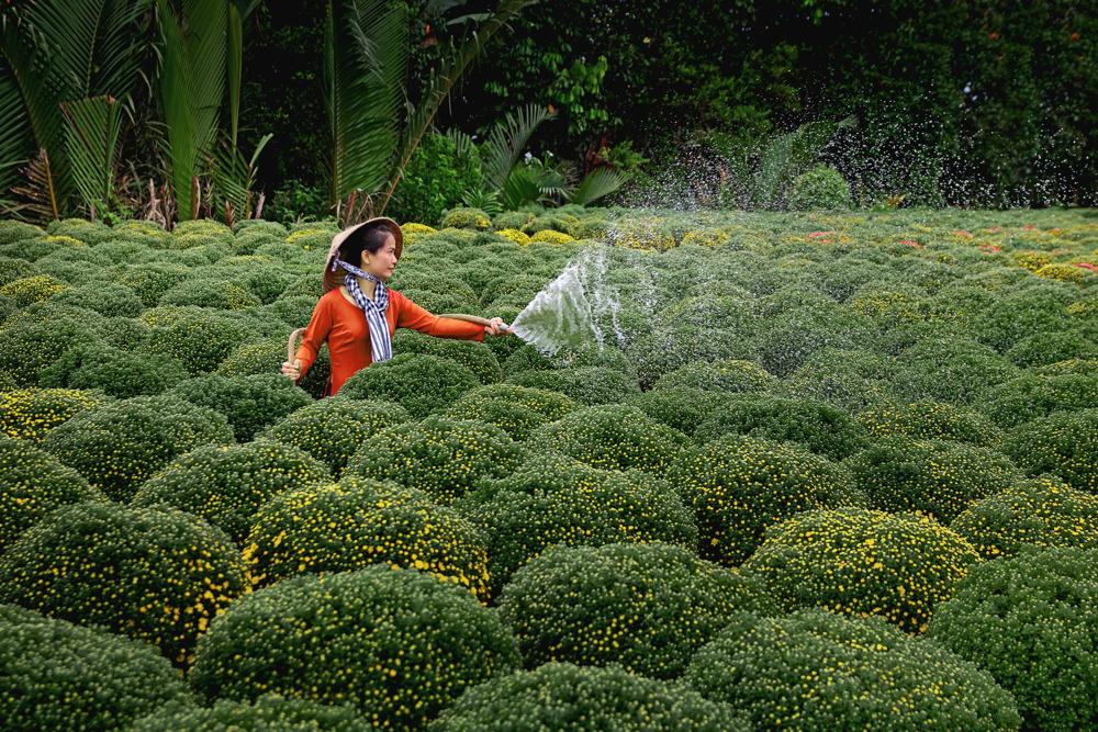 smart farming