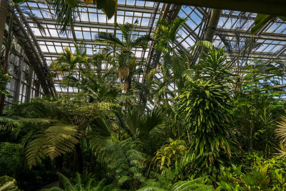 indoor garden